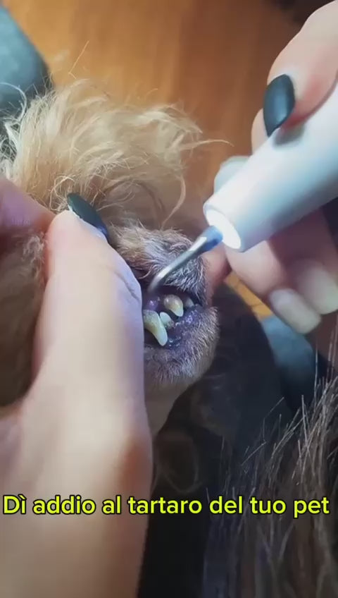 spazzolino a ultrasuoni per pulizia denti cani e gatti